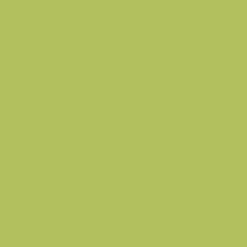 tinta-acrilica-fosca-coralar-mais-desempenho-coral-verde-limao-18_02