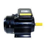 motor-eletrico-2cv-2p-ip44-lynus_01