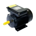 motor-eletrico-2cv-4p-ip44-lynus