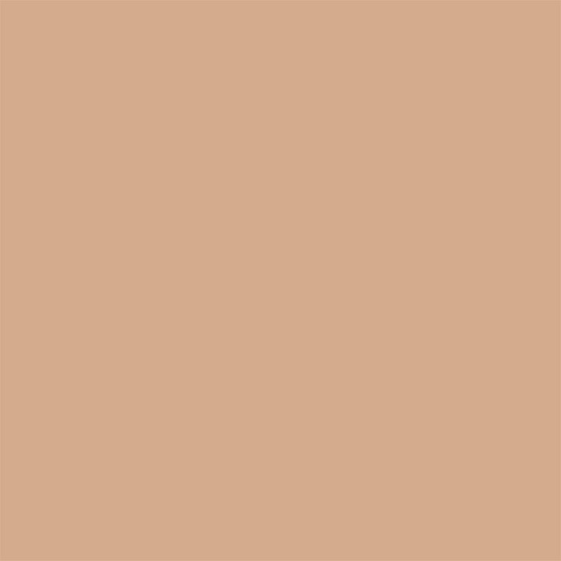 tinta-acrilica-fosca-coralar-mais-desempenho-coral-camurca-18_02