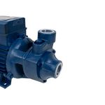 motobomba-agua-periferica-1cv-ics-100ab-eletroplas_01