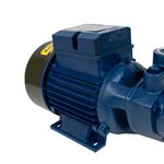 motobomba-agua-periferica-1cv-ics-100ab-eletroplas_02