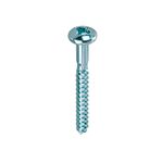 parafuso-philips-cabeca-panela-com-bucha-nylon-bemfixa-30-unidades_01