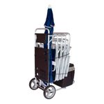 carrinho-de-praia-com-avanco-mor-preto_05