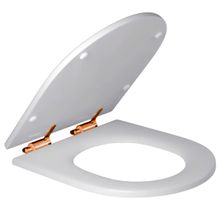 Assento Sanitário com Fechamento Suave Deca Branco e Red Gold