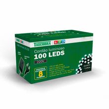 Cordão Luminoso de Natal com 8 Funções 100 Leds 8m 220V Taschibra
