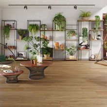 Piso Porcelanato Acetinado Retificado Arbo Natural Biancogres