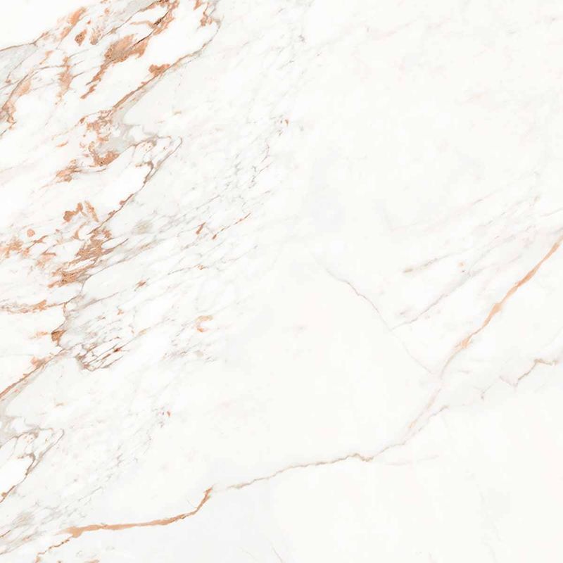 image-4e9dfa9d8b424d84991a2d354f68e6b2