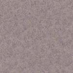 image-619e81317a69498da9f9362382e5cd2a