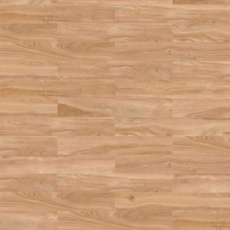 image-612c211eb4024efdad9a4c3bca0f1ca7