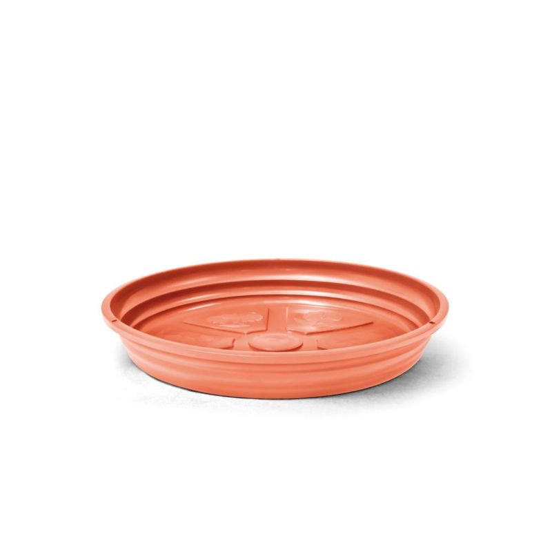 image-aa5ba92a61be4594be9db6d4634c0d8f