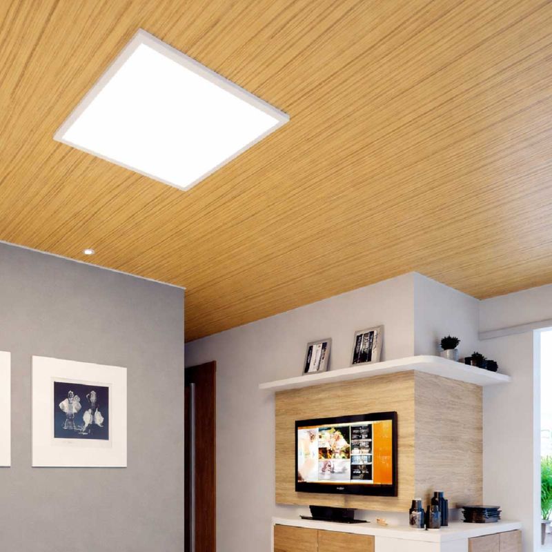 image-446ccd1dd1524b27ac692e28ec4c0e9c