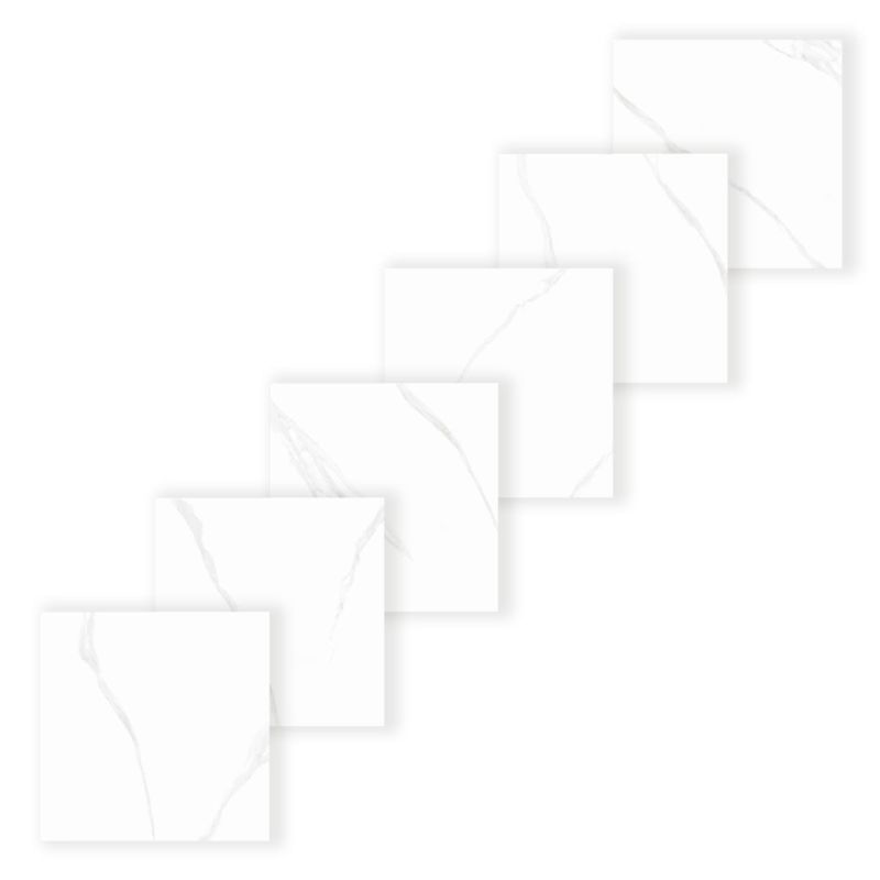 image-8895768350fb4d3c9a3f0560af446e38